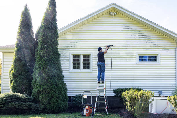 Best Solar Panel Cleaning  in Cassville, WV