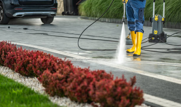Best Driveway Pressure Washing  in Cassville, WV